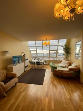 Riga centre , skyloft apartment 178m2